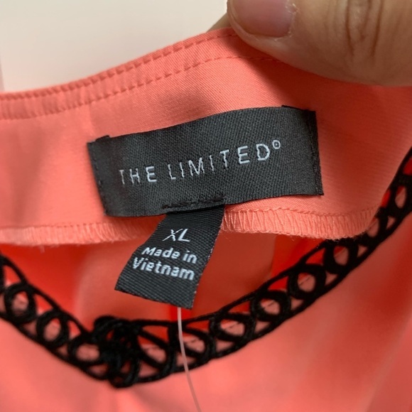 The Limited Lace Camisole - Picture 4 of 7